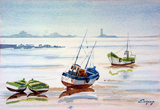 Marée basse