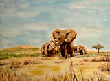Eléphants