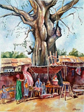Baobab, Guinée