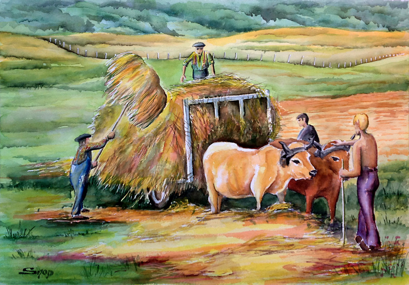 Aquarelle