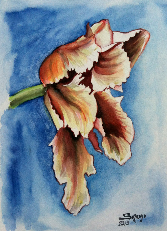 Aquarelle