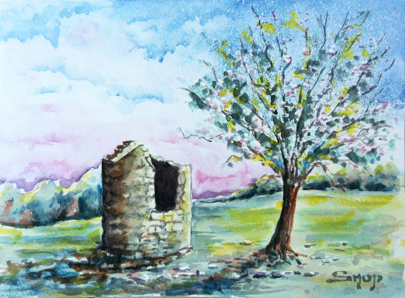 Aquarelle