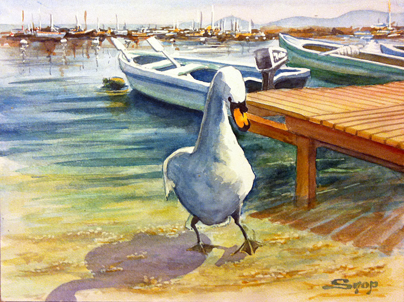 Cygne