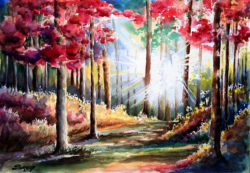 Sous-bois