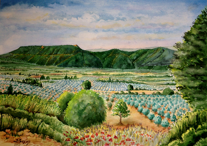 Olivettes