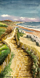chemin des dunes