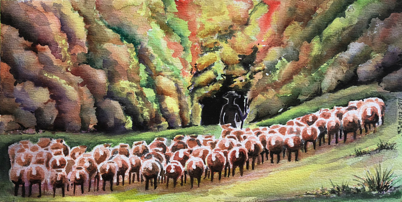 transhumance