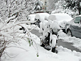 Moto-neige, Genève